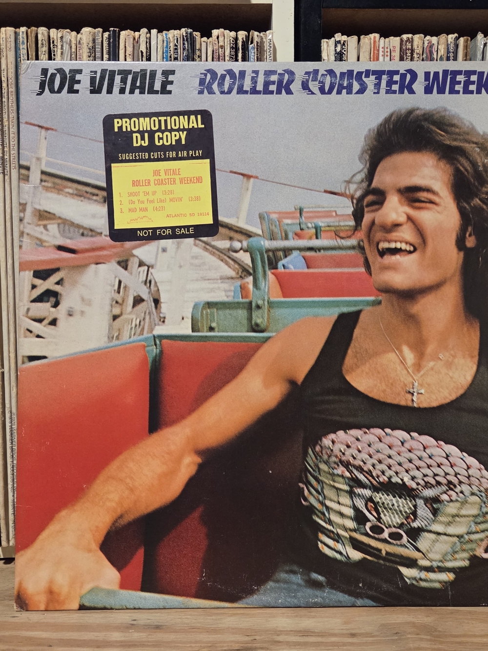 Joe Vitale — Roller Coaster Weekend (Promotional DJ Copy) vintage vinyl